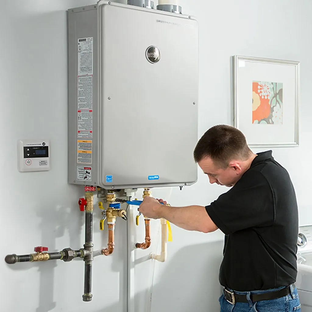 tankless water heater repair in Bragg city, MO